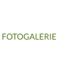 FOTOGALERIE